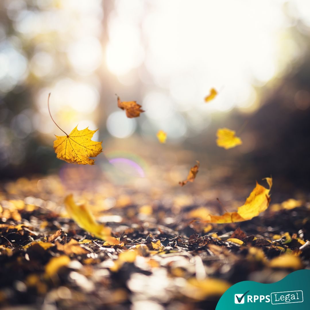 estacao-outono-folhas-caindo-chao-folhas