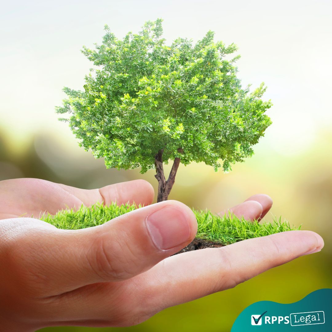 mao-segura-mini-arvore